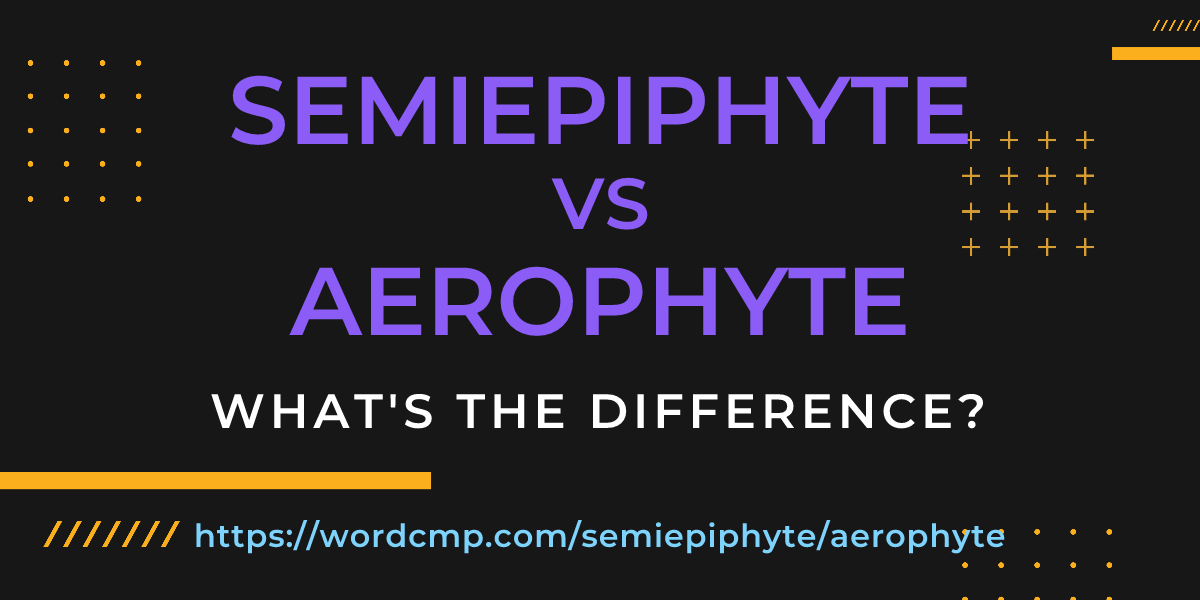 Difference between semiepiphyte and aerophyte