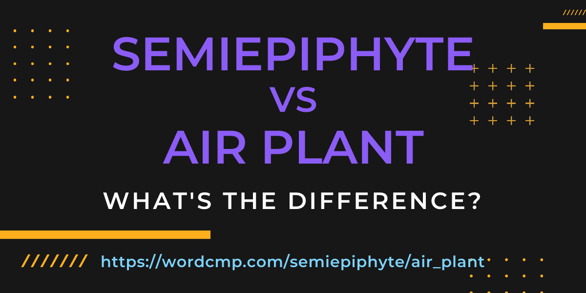 Difference between semiepiphyte and air plant