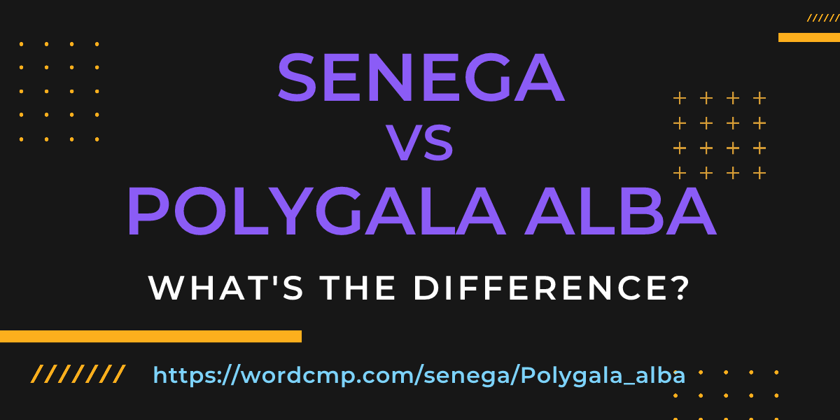 Difference between senega and Polygala alba