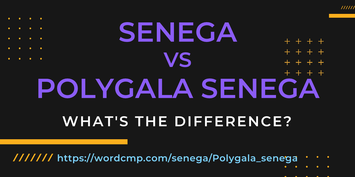 Difference between senega and Polygala senega