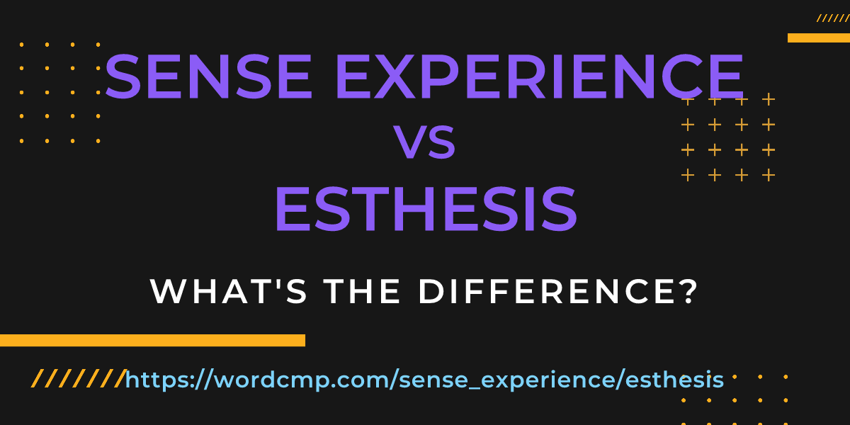 Difference between sense experience and esthesis