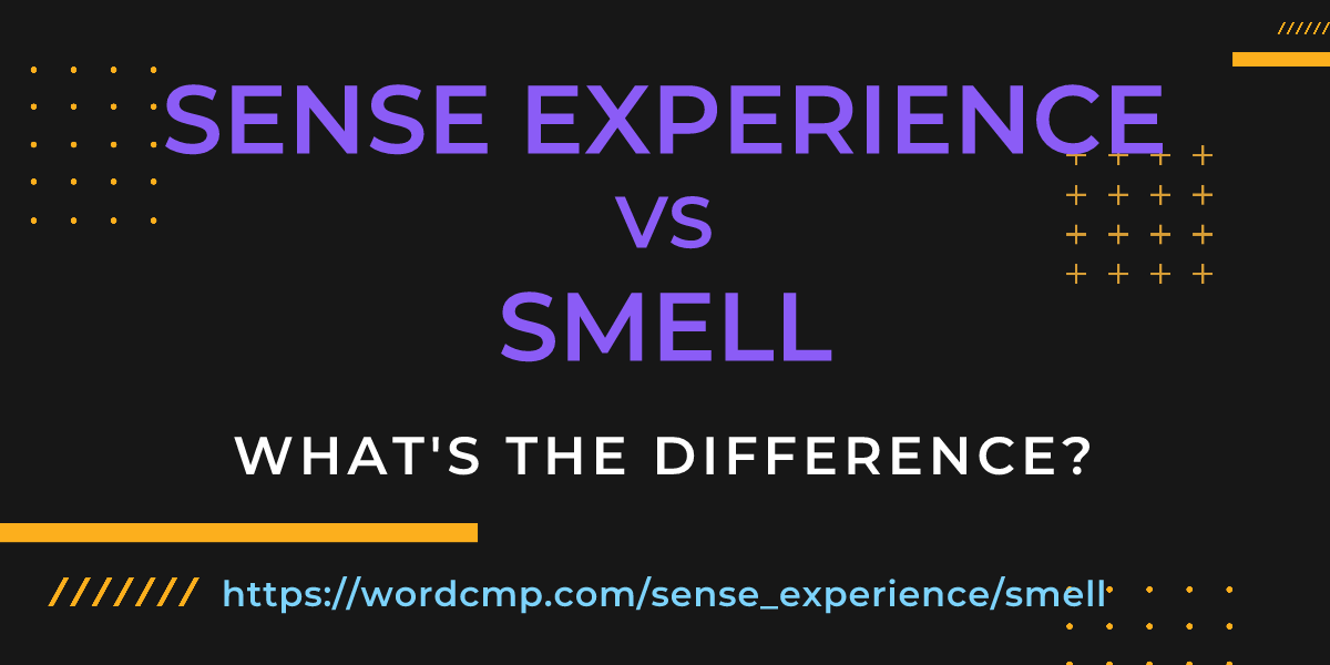 Difference between sense experience and smell