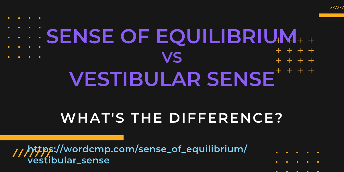 Difference between sense of equilibrium and vestibular sense