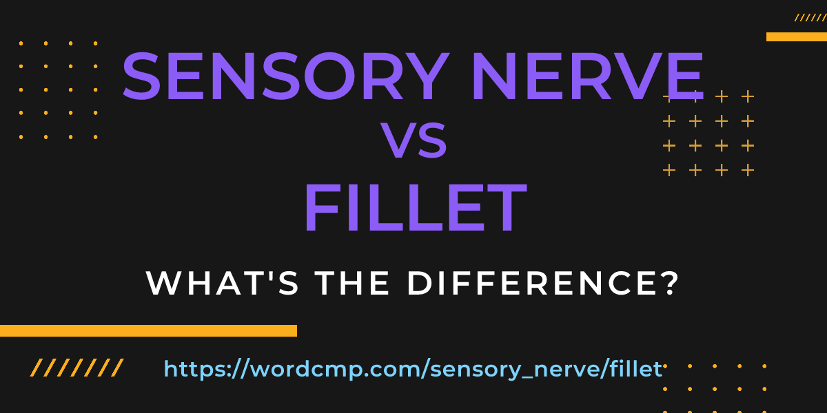 Difference between sensory nerve and fillet