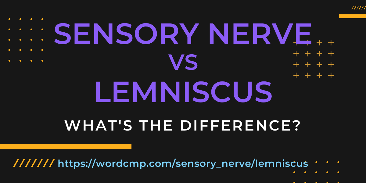 Difference between sensory nerve and lemniscus