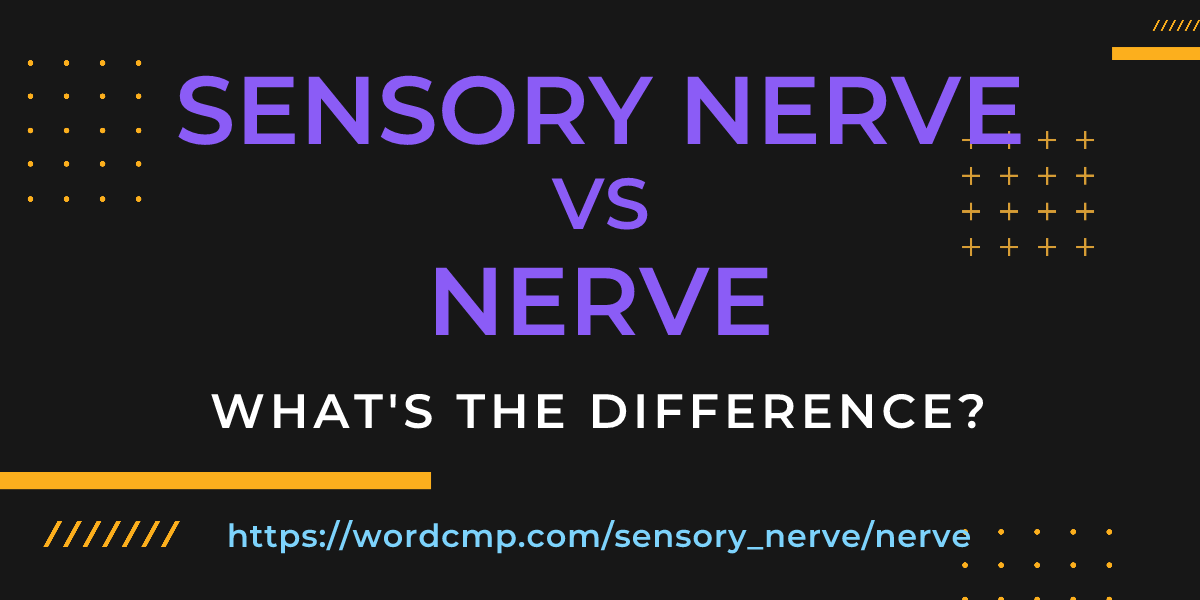 Difference between sensory nerve and nerve