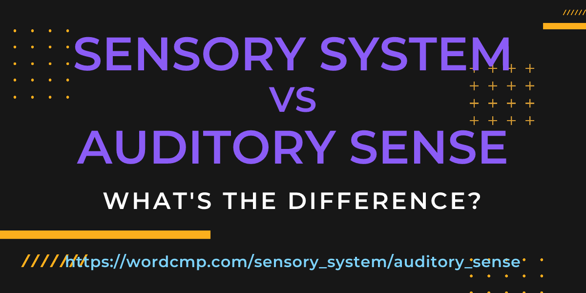 Difference between sensory system and auditory sense