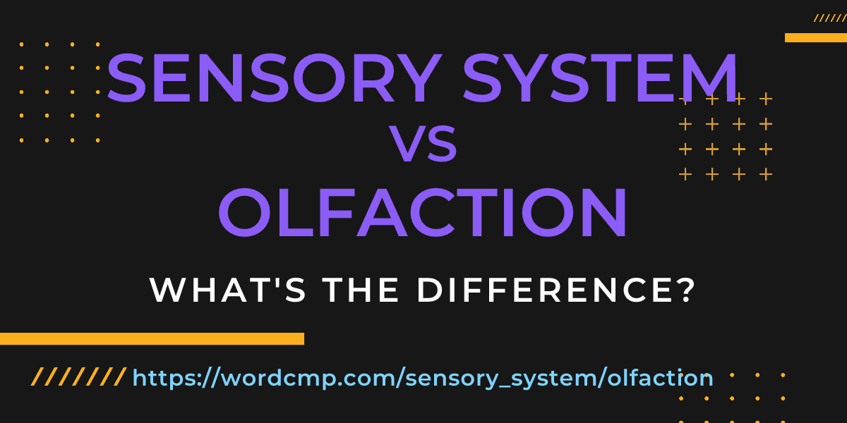 Difference between sensory system and olfaction