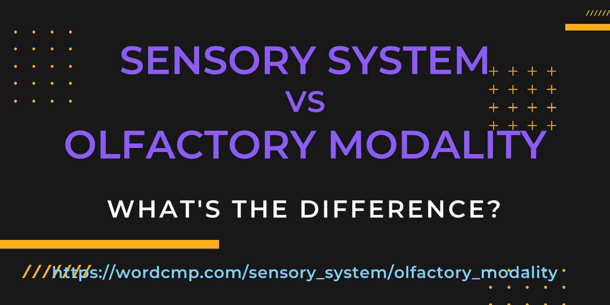 Difference between sensory system and olfactory modality