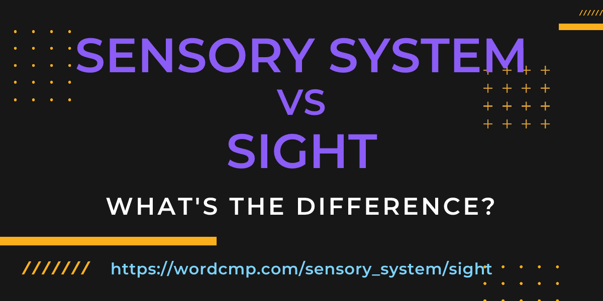 Difference between sensory system and sight