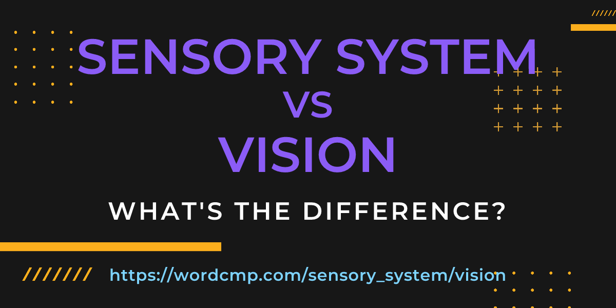 Difference between sensory system and vision