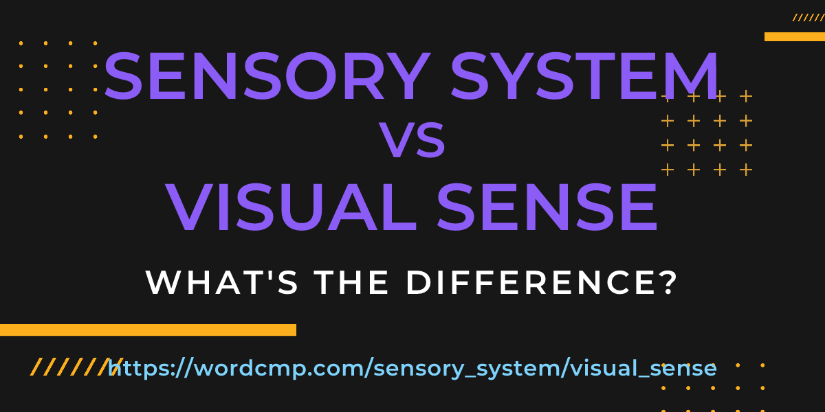 Difference between sensory system and visual sense