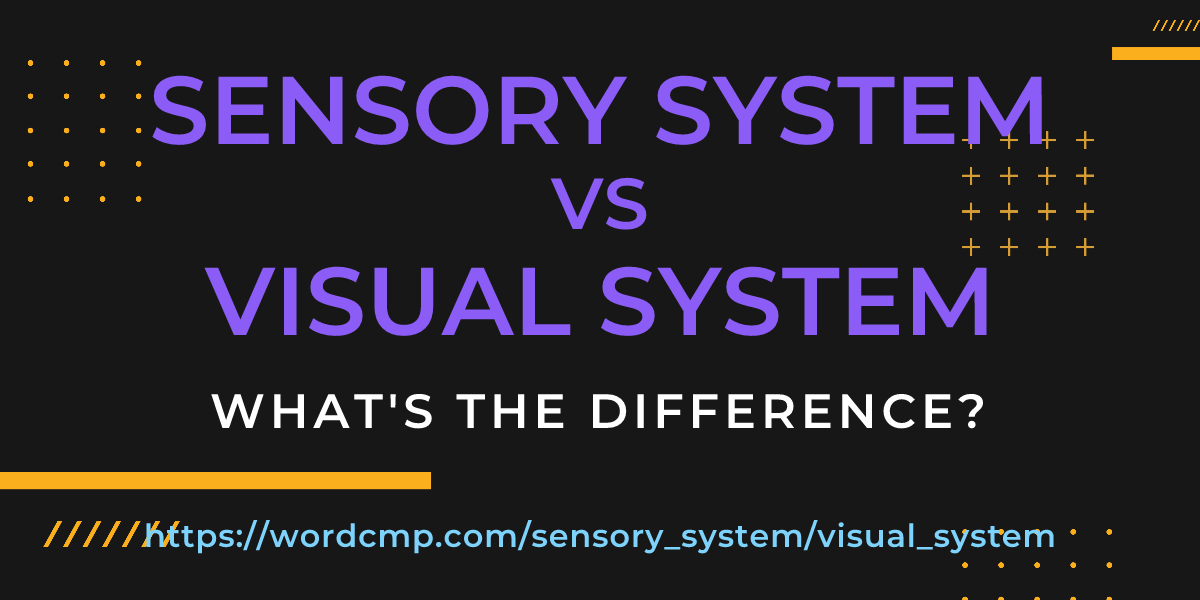 Difference between sensory system and visual system