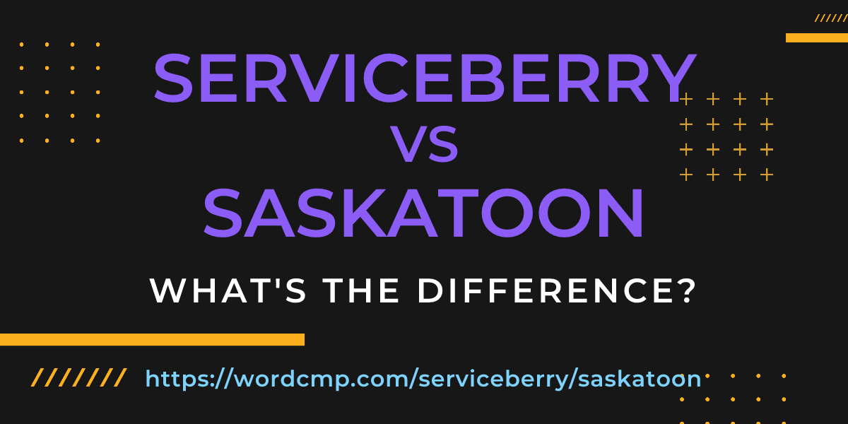 Difference between serviceberry and saskatoon