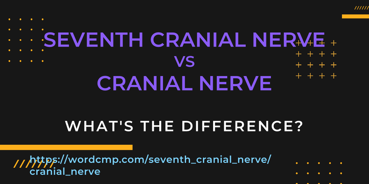 Difference between seventh cranial nerve and cranial nerve