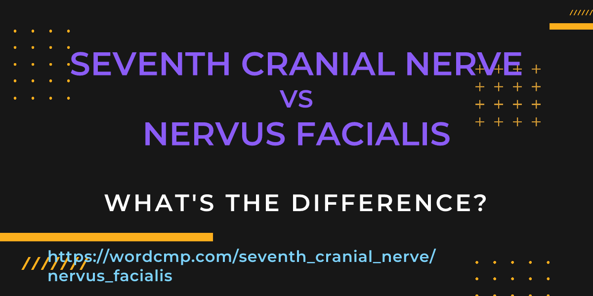 Difference between seventh cranial nerve and nervus facialis