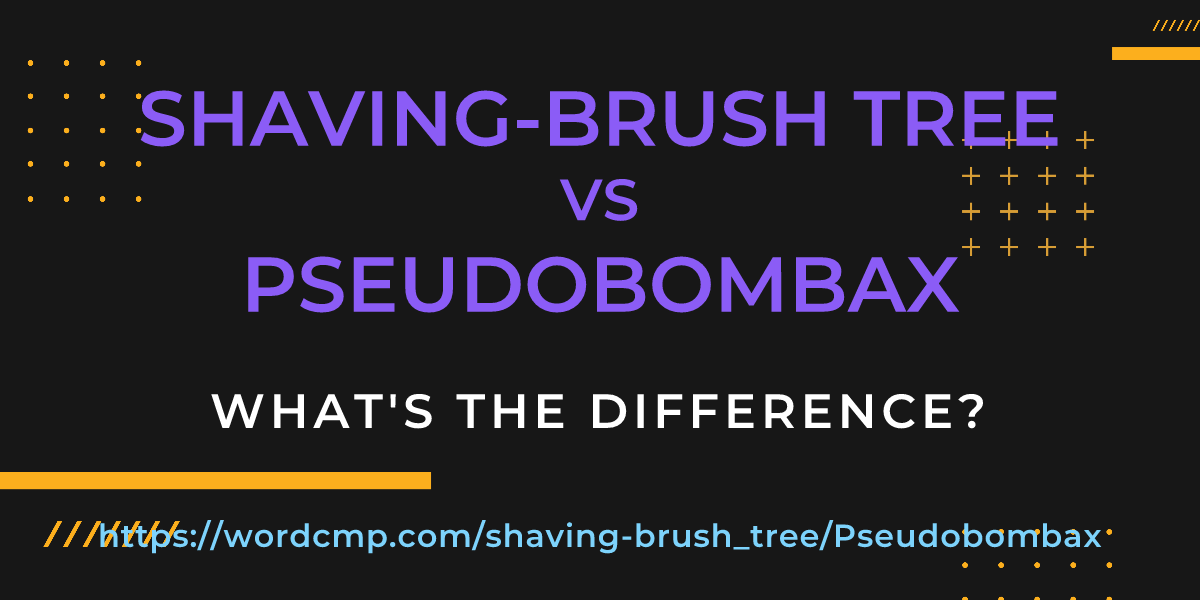 Difference between shaving-brush tree and Pseudobombax
