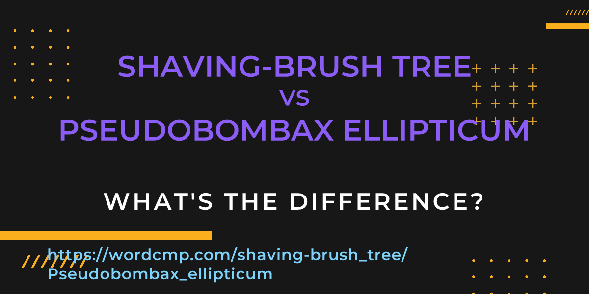 Difference between shaving-brush tree and Pseudobombax ellipticum