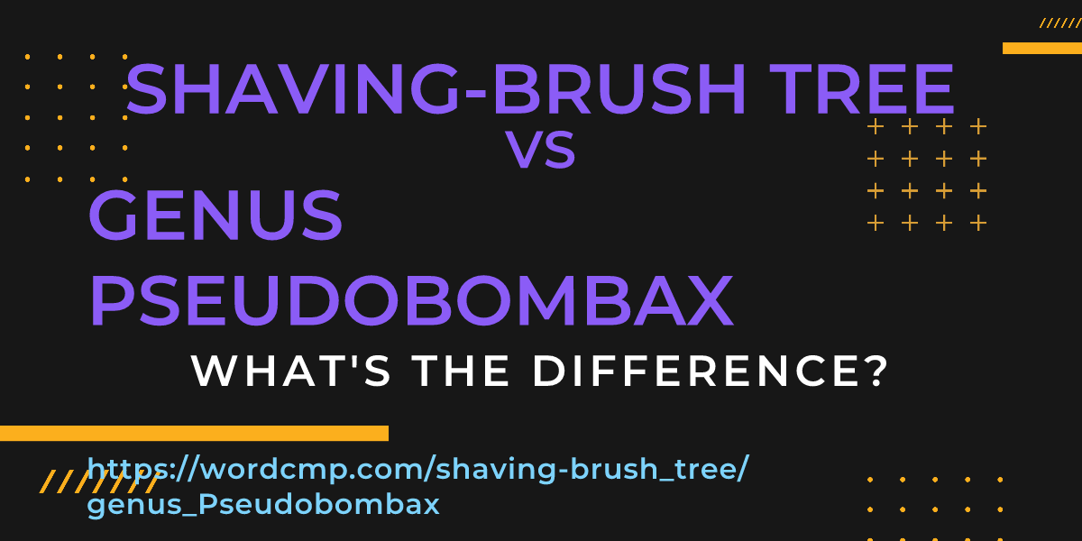 Difference between shaving-brush tree and genus Pseudobombax