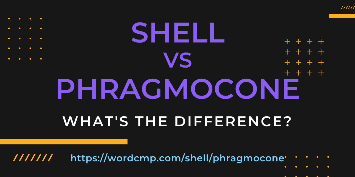 Difference between shell and phragmocone