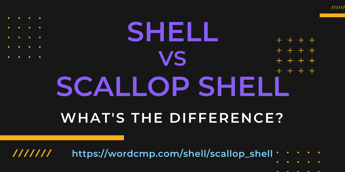Difference between shell and scallop shell