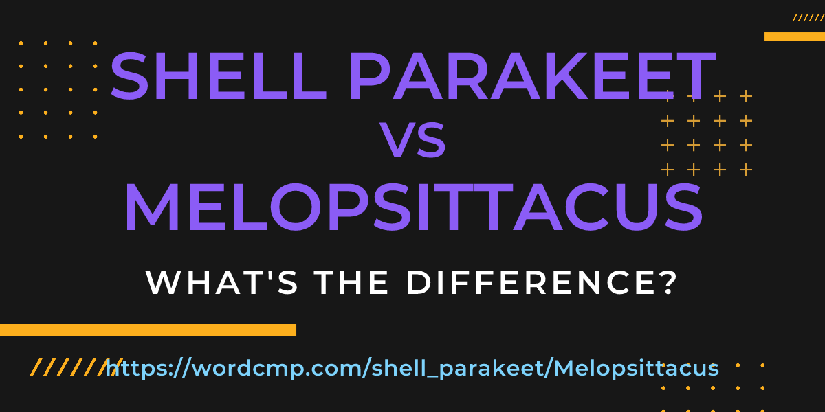 Difference between shell parakeet and Melopsittacus