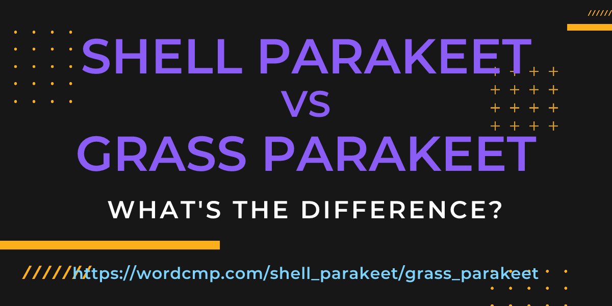 Difference between shell parakeet and grass parakeet