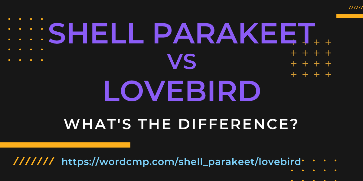 Difference between shell parakeet and lovebird