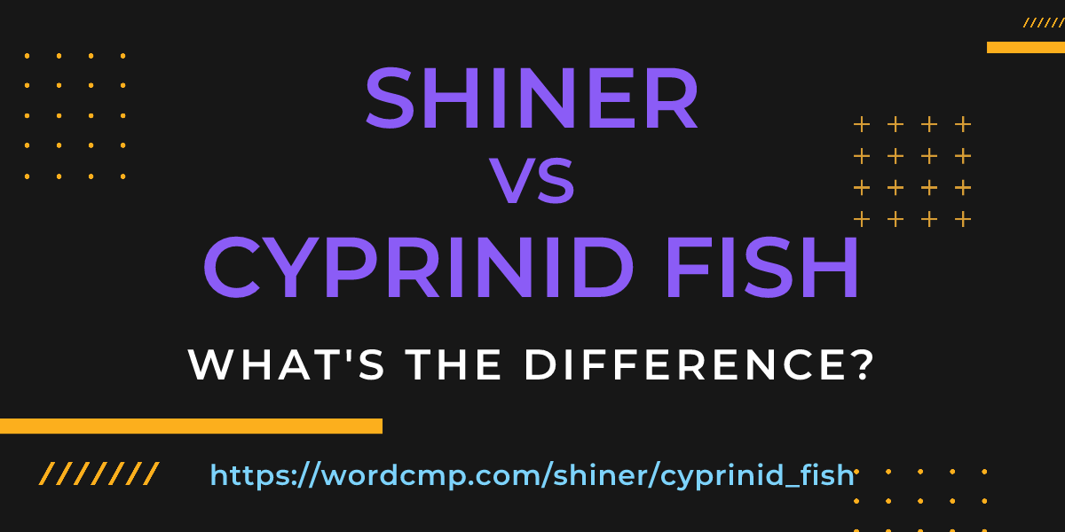 Difference between shiner and cyprinid fish
