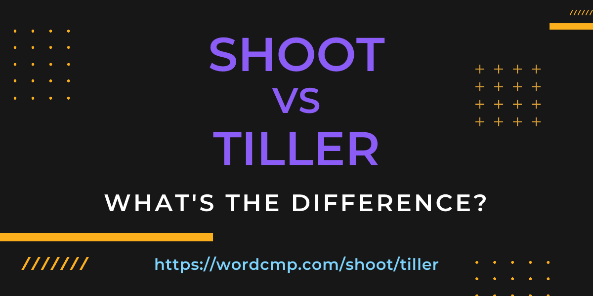 Difference between shoot and tiller