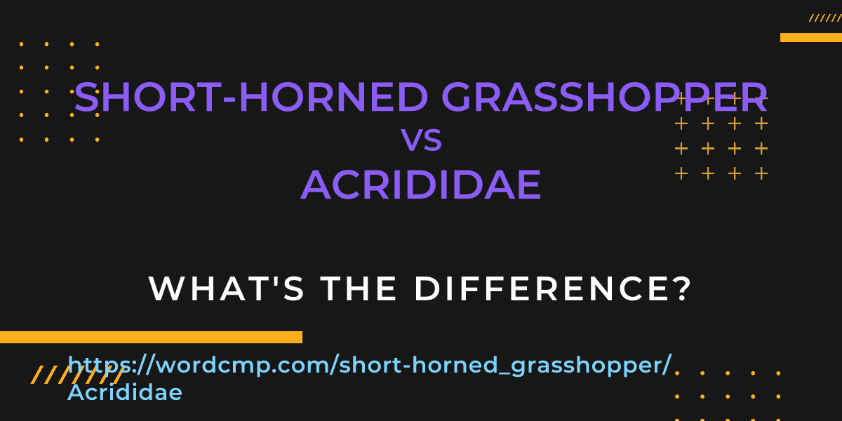 Difference between short-horned grasshopper and Acrididae