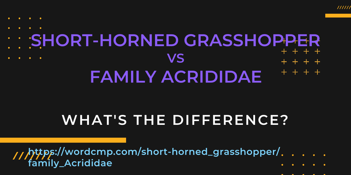 Difference between short-horned grasshopper and family Acrididae