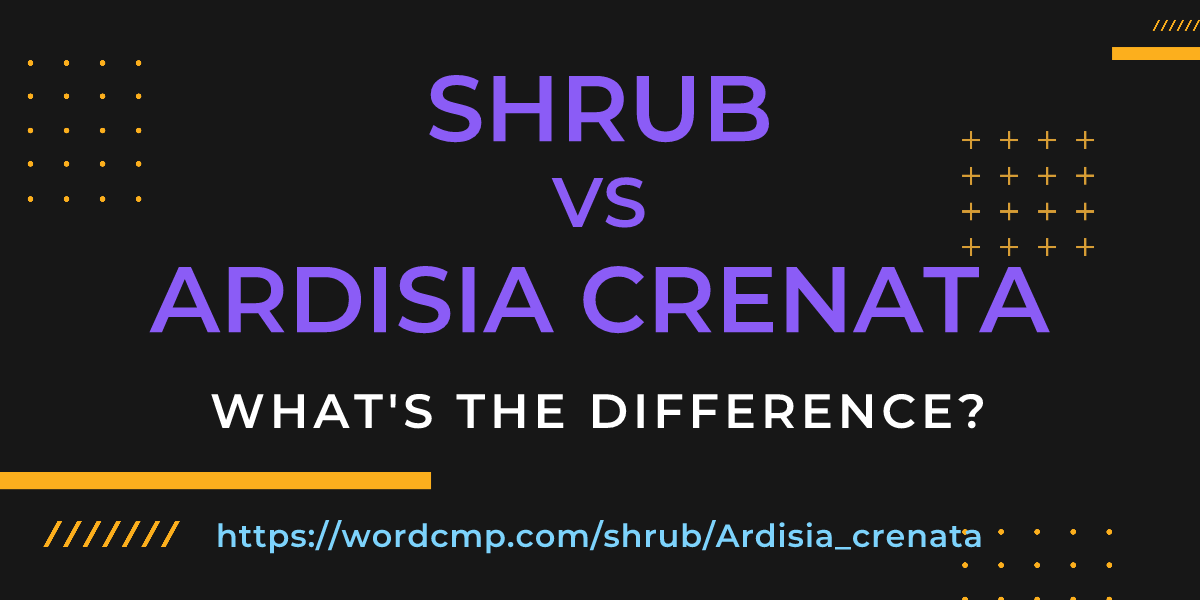 Difference between shrub and Ardisia crenata
