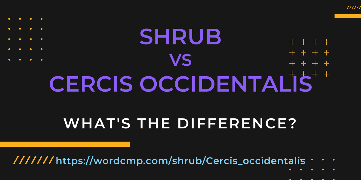 Difference between shrub and Cercis occidentalis