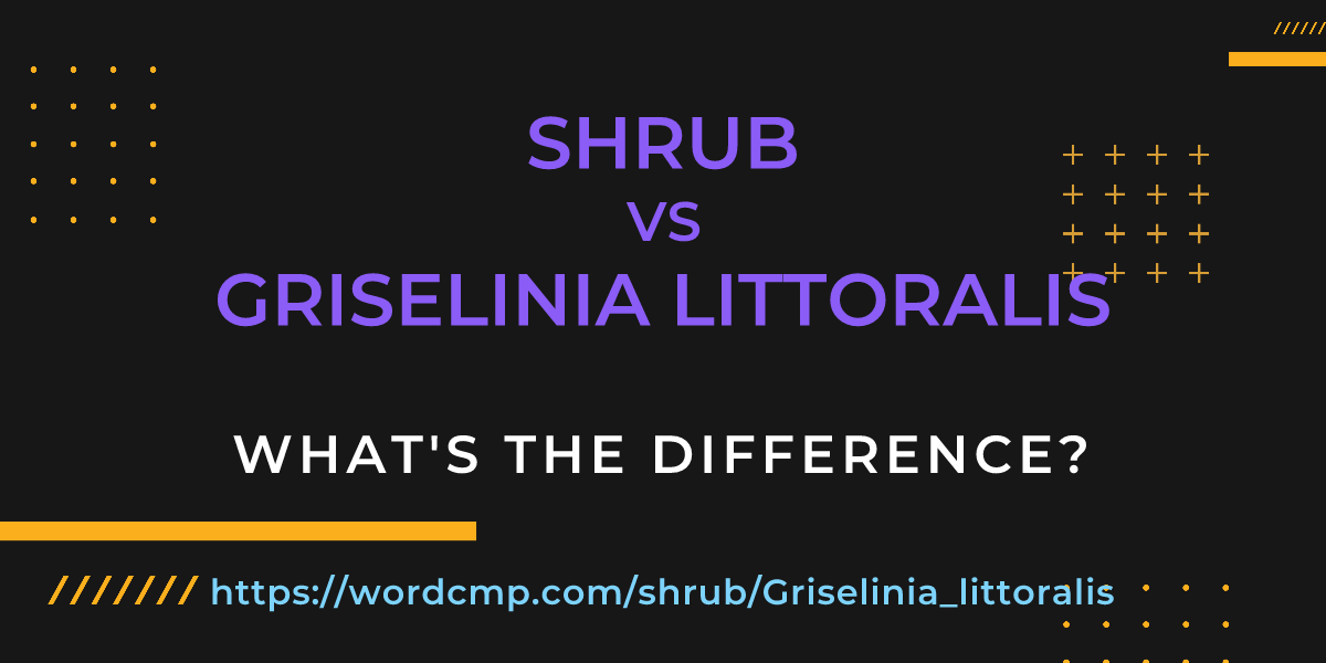 Difference between shrub and Griselinia littoralis