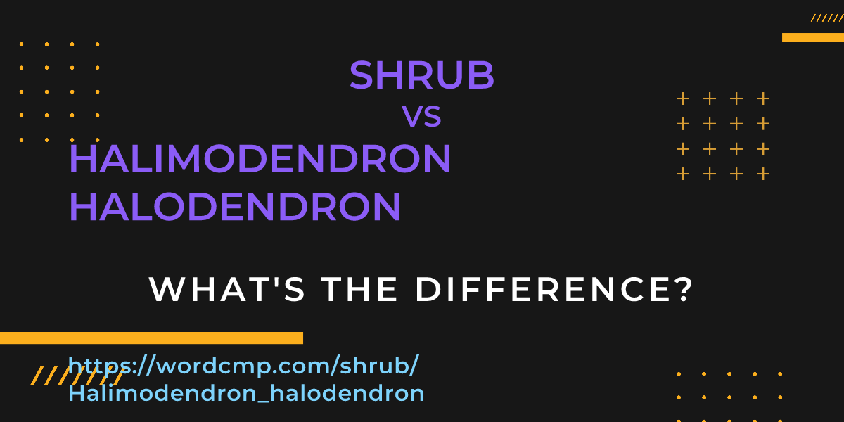 Difference between shrub and Halimodendron halodendron
