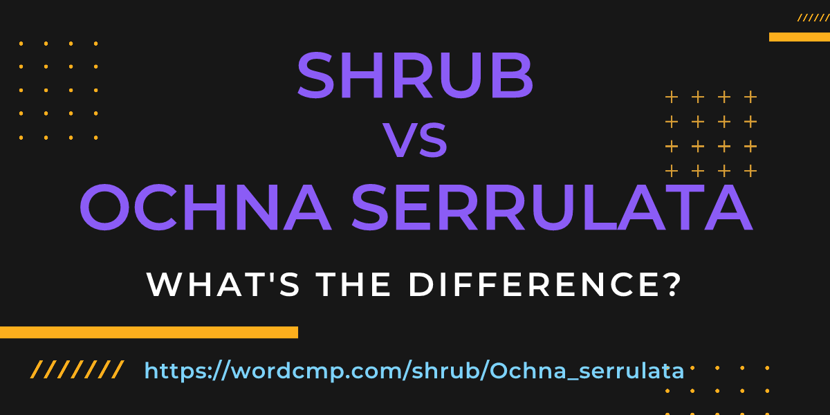 Difference between shrub and Ochna serrulata