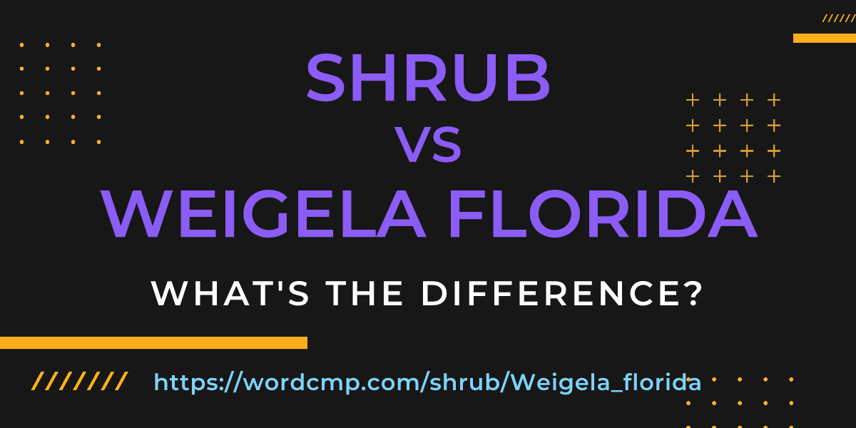 Difference between shrub and Weigela florida
