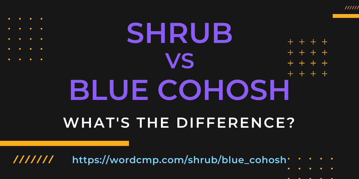 Difference between shrub and blue cohosh