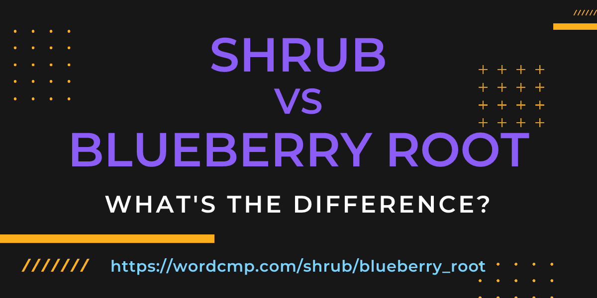 Difference between shrub and blueberry root