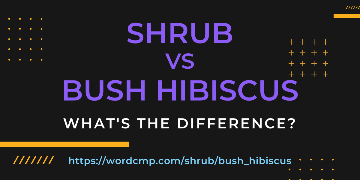 Difference between shrub and bush hibiscus