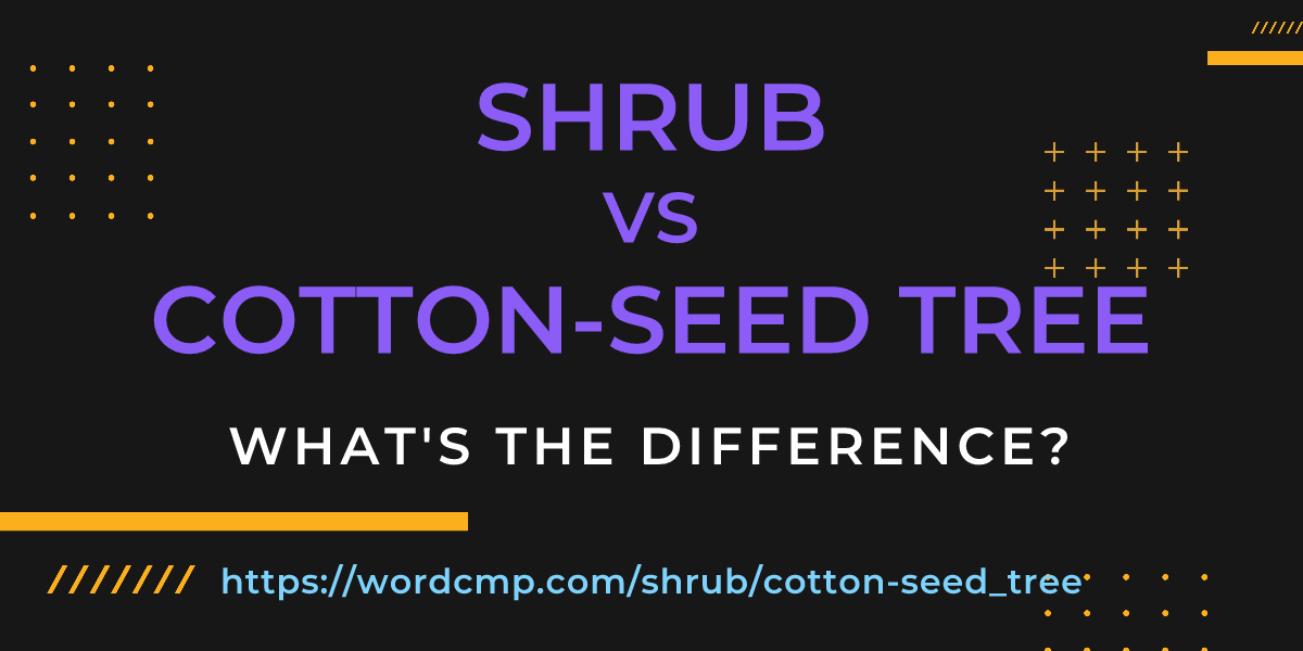 Difference between shrub and cotton-seed tree