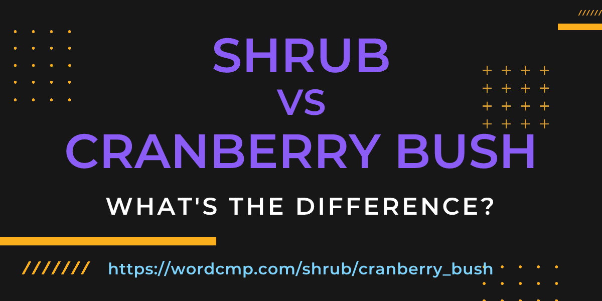 Difference between shrub and cranberry bush