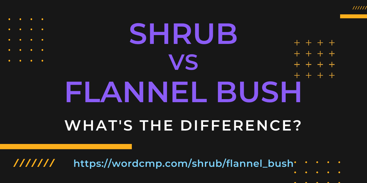 Difference between shrub and flannel bush