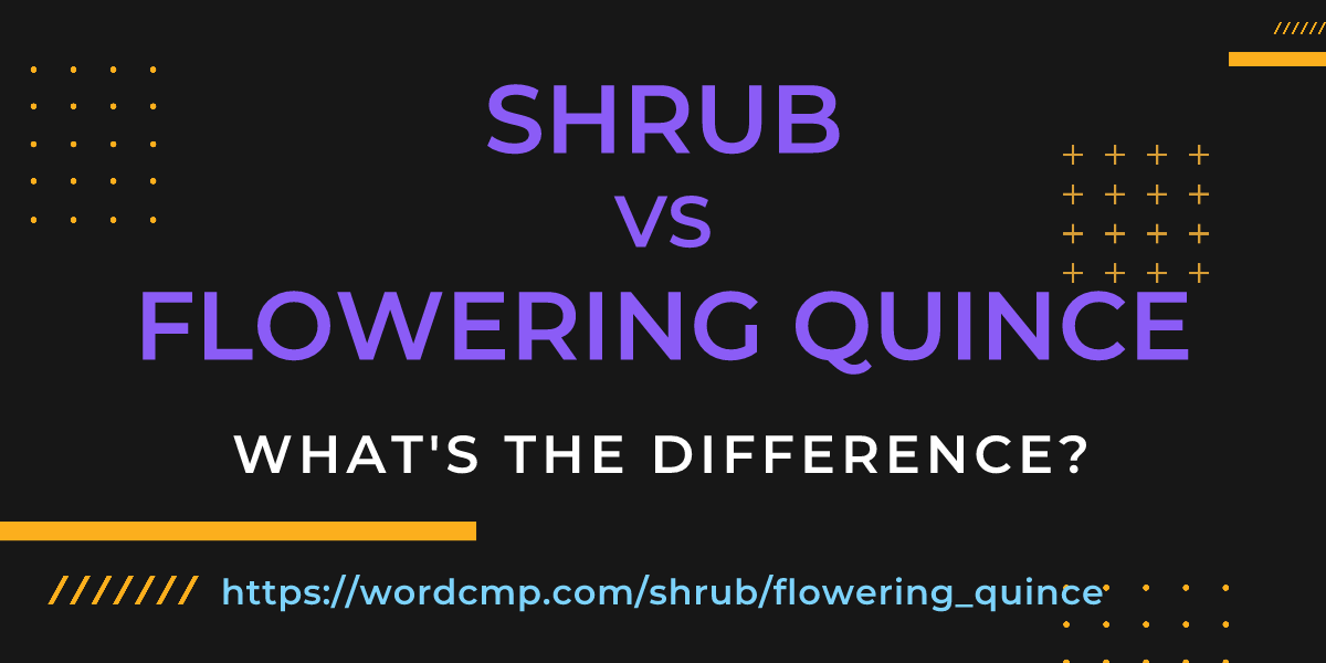 Difference between shrub and flowering quince