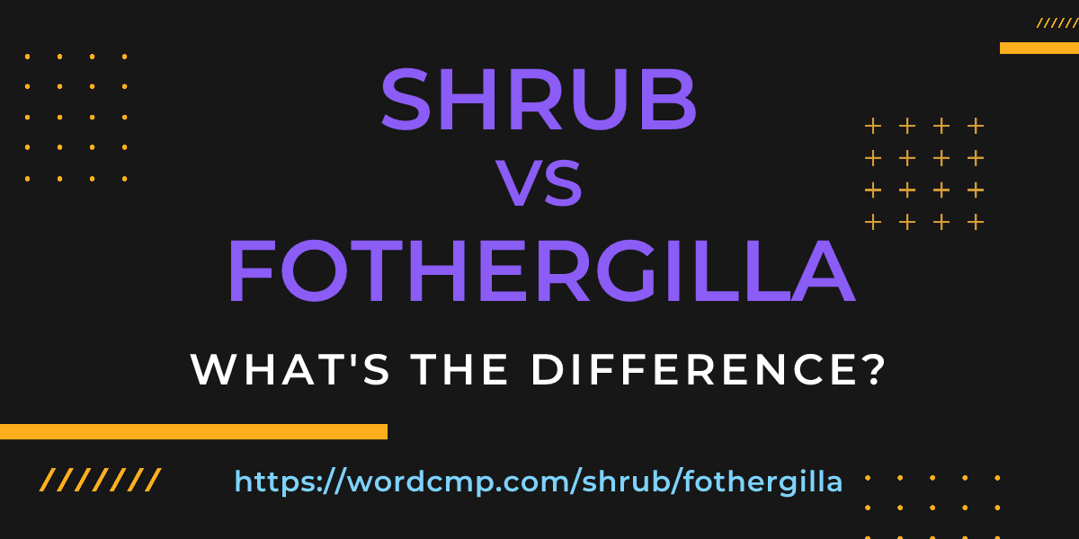 Difference between shrub and fothergilla