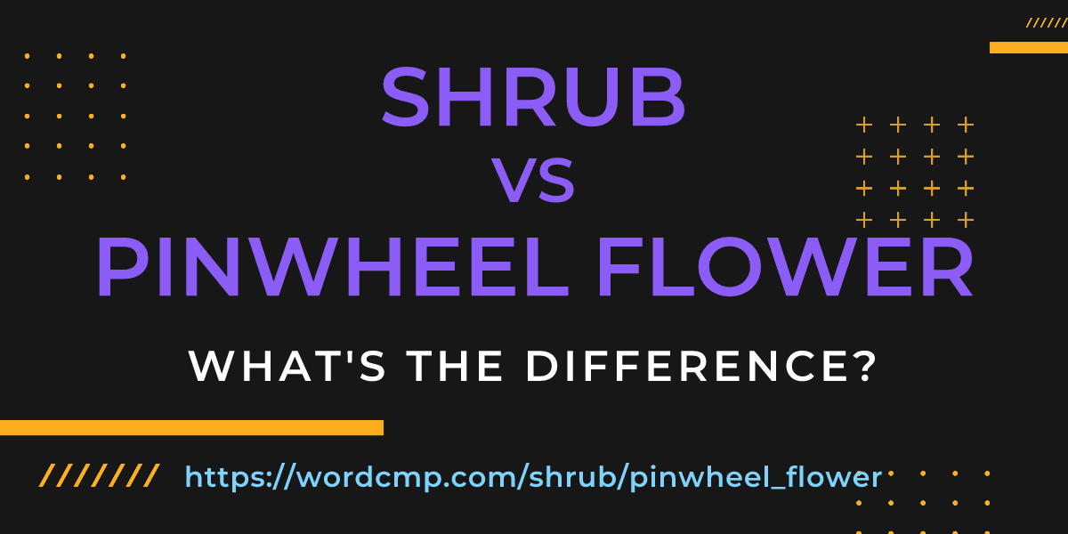 Difference between shrub and pinwheel flower