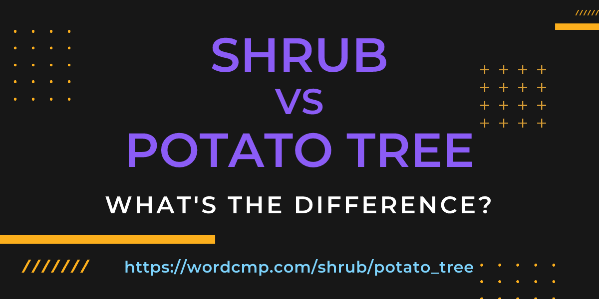 Difference between shrub and potato tree