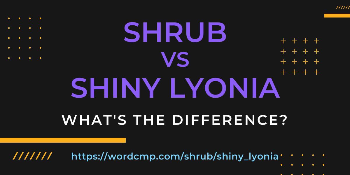 Difference between shrub and shiny lyonia