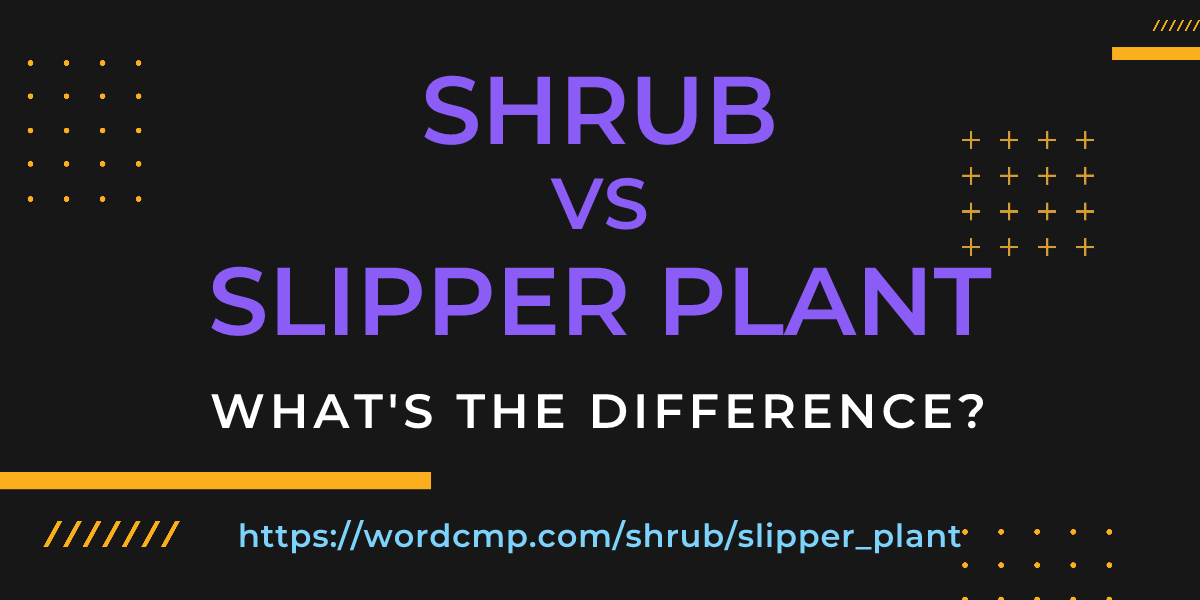 Difference between shrub and slipper plant